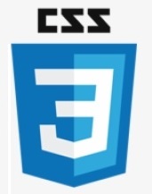 CSS-Logo